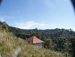 #6 - Área para Venda em Campos do Jordão - SP - 3