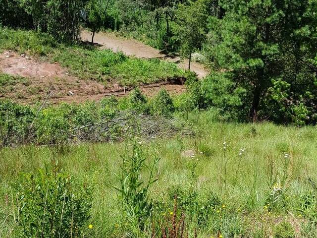 #26 - Área para Venda em Campos do Jordão - SP - 2