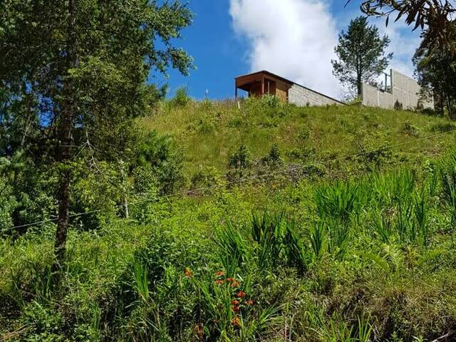 #26 - Área para Venda em Campos do Jordão - SP - 3